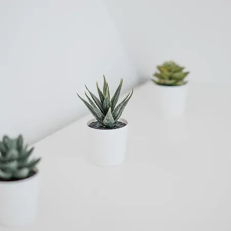 Дом отдыха Torbogenhuus No 7 Comfortable Нордерней